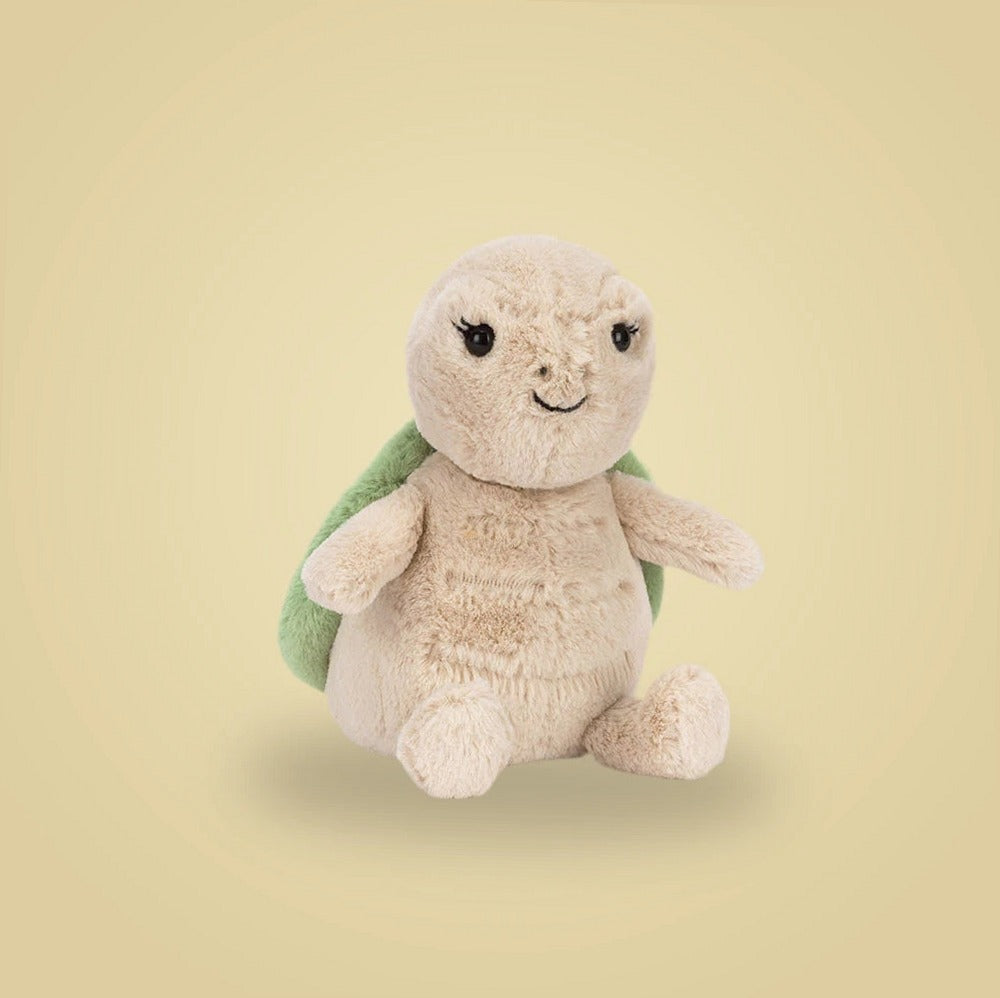 Thimble Turtle — front view