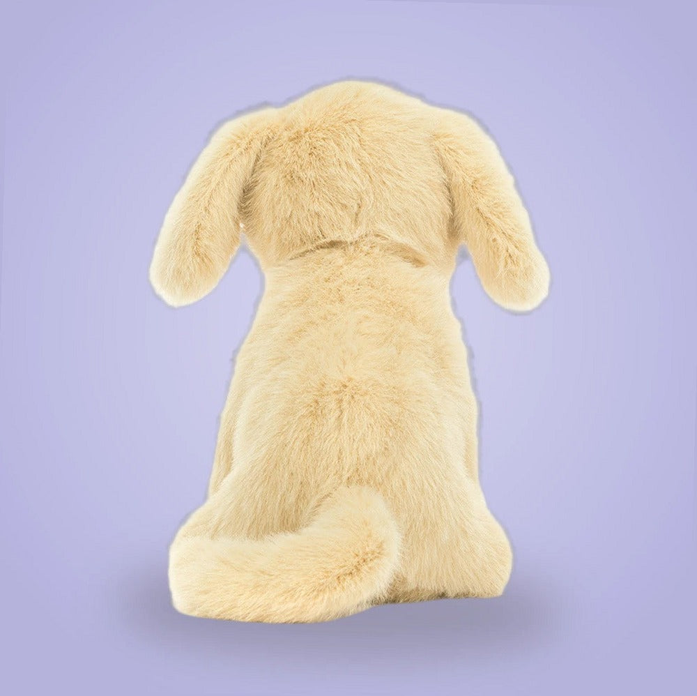 Golden Puppy — gallery view 4