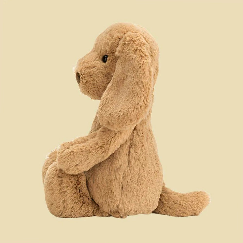 Bashful Toffee Puppy — front view