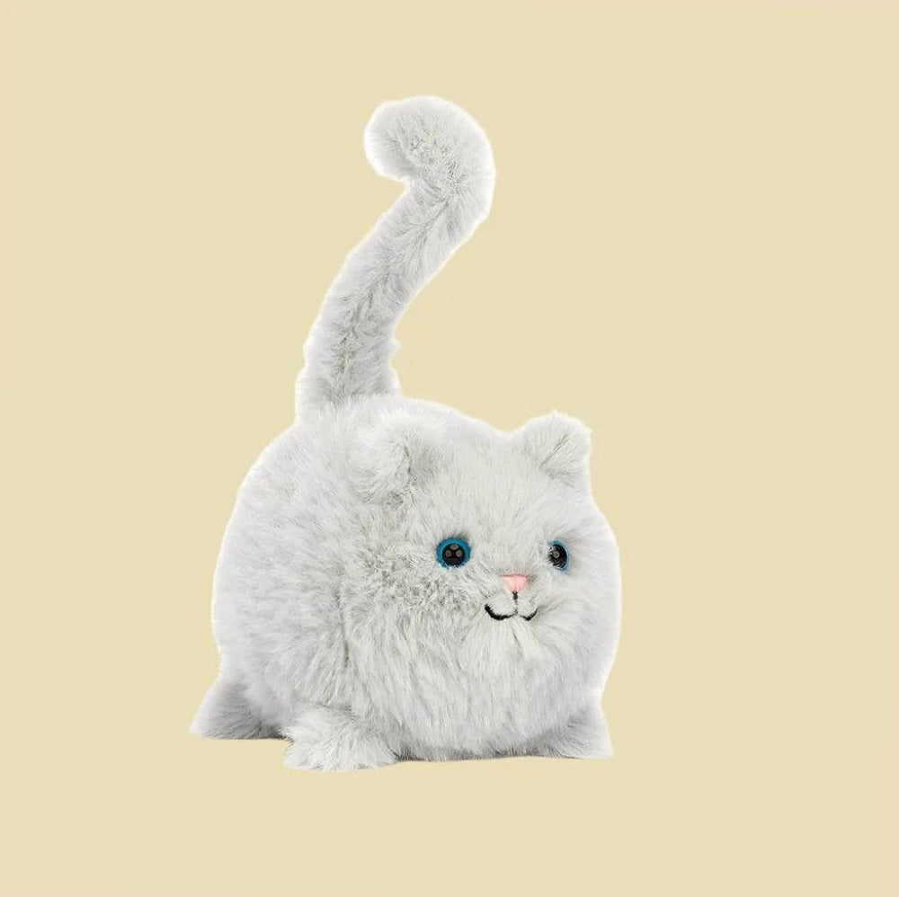Kitten Caboodle — front view