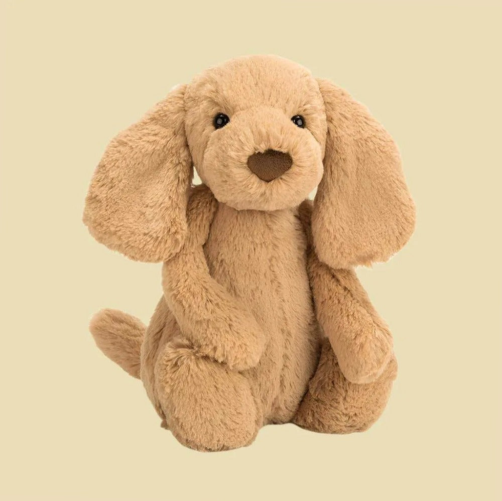 Bashful Toffee Puppy — gallery view 2