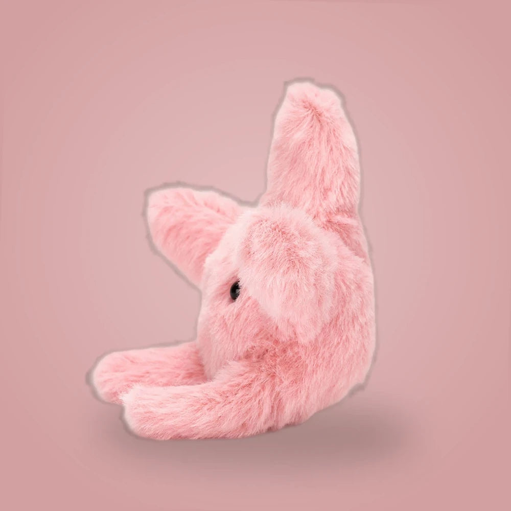 Fluffy Starfish — gallery view 2