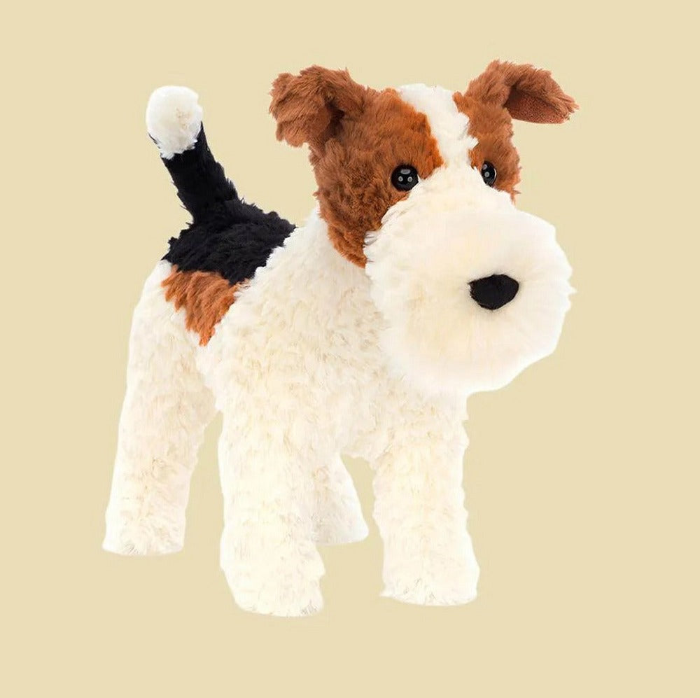 Hector Fox Terrier — front view