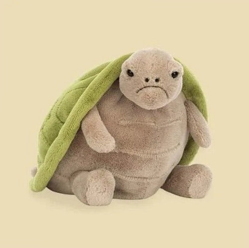 Timmy Turtle — gallery view 1