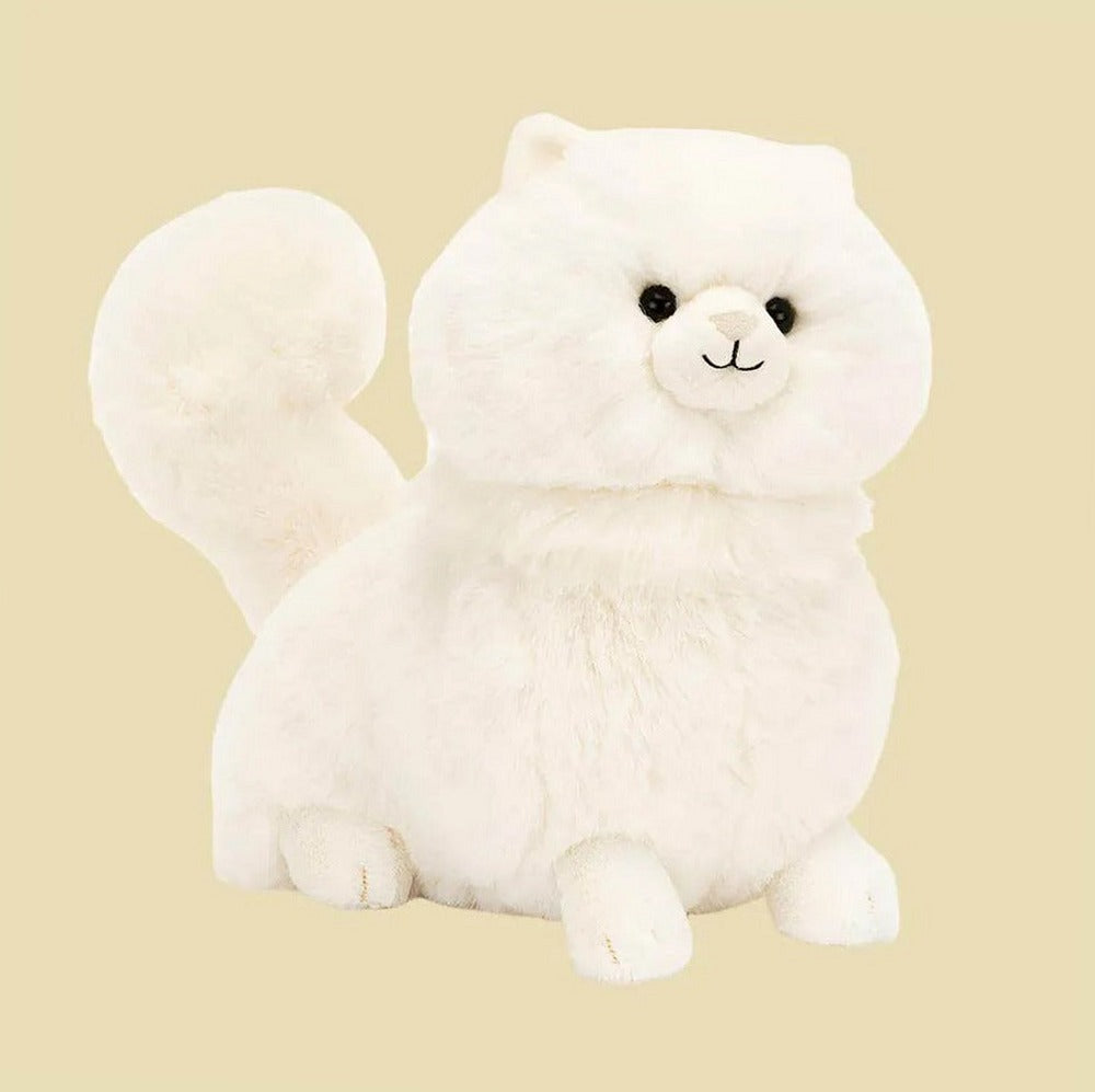 Carissa Persian Cat — front view