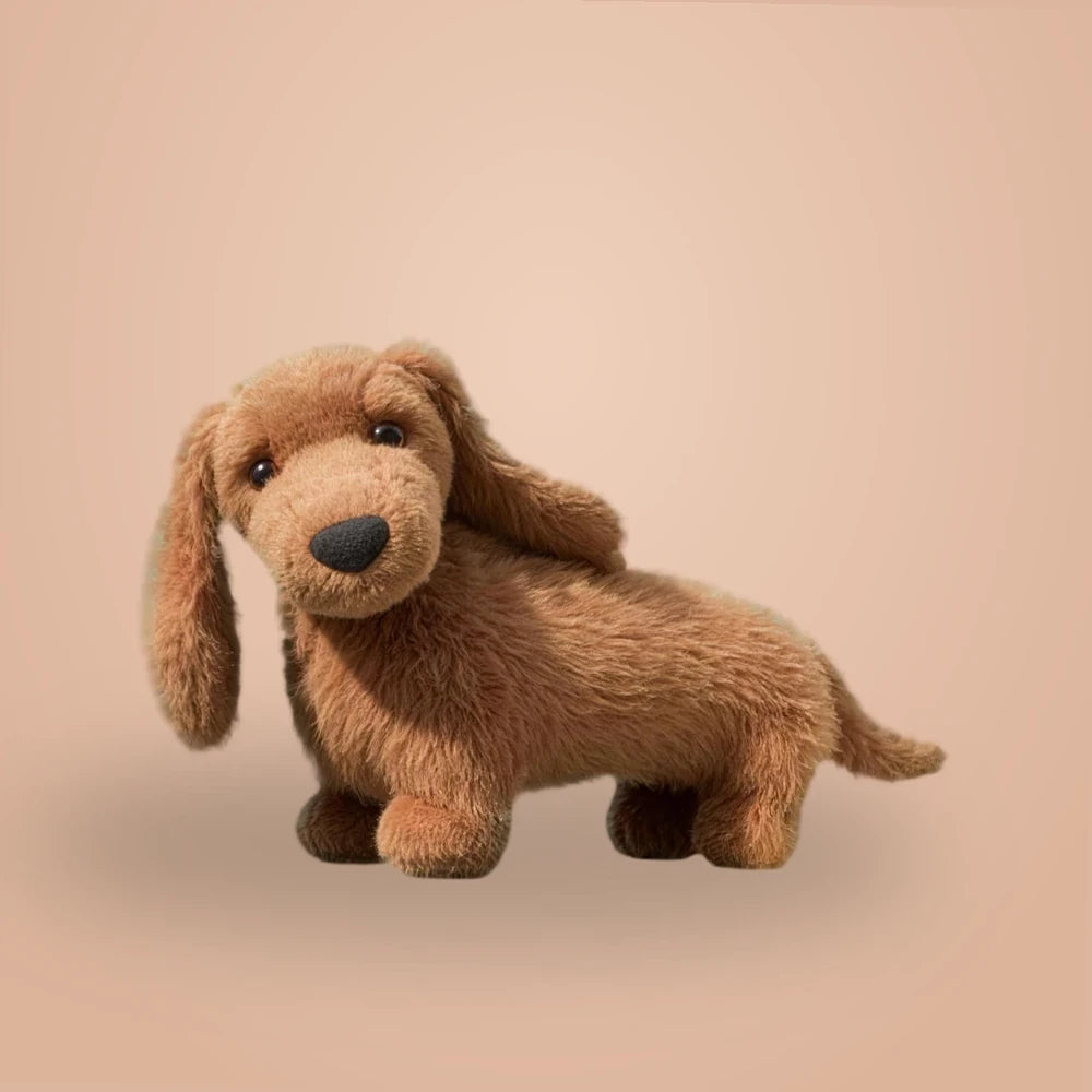 Pecanine Sausage Dog — front view